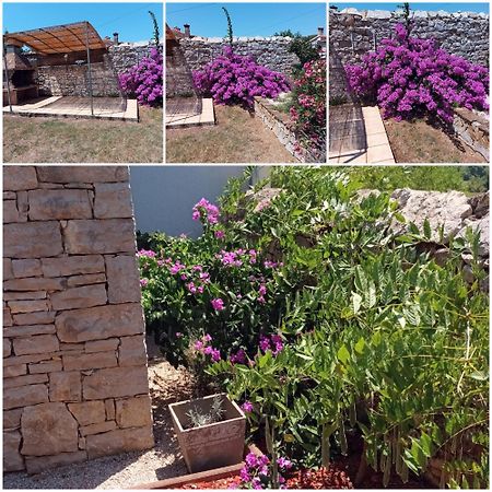 Holiday Home Stancija Becic Mugeba المظهر الخارجي الصورة